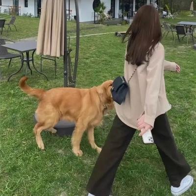 班卓